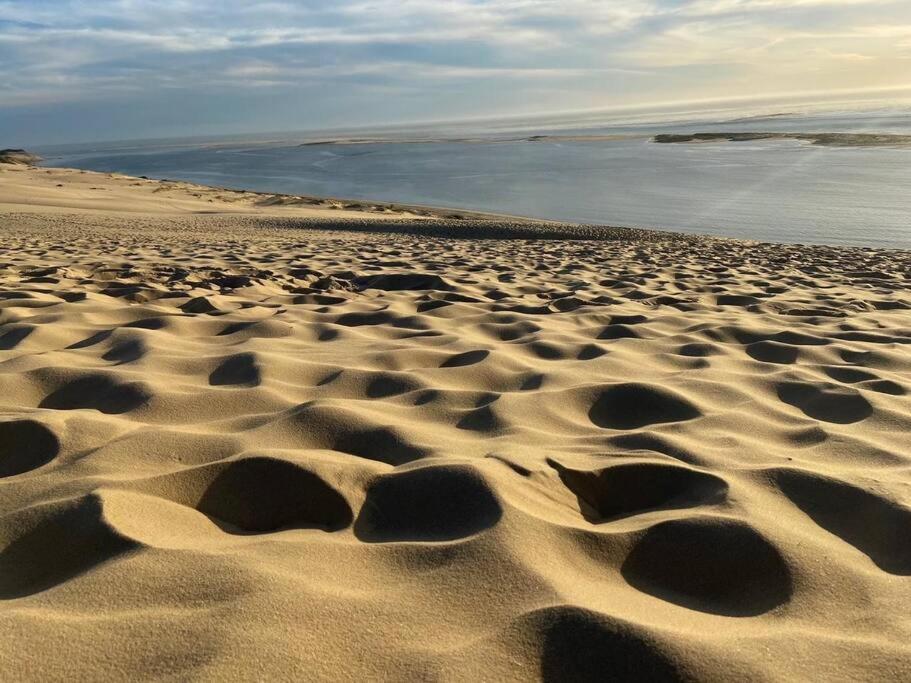 Villa Arcachon 12 Pers Avec Piscine Chauffee 1 Mai Au 30 Sept 外观 照片