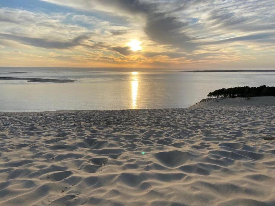Villa Arcachon 12 Pers Avec Piscine Chauffee 1 Mai Au 30 Sept 外观 照片